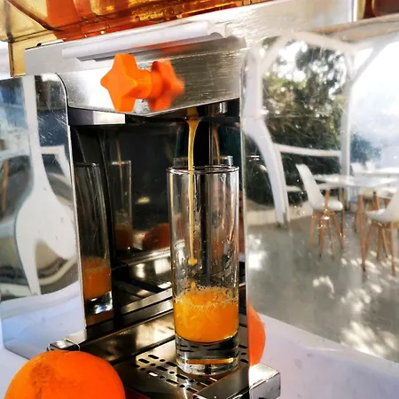 αύρα πάχαινας Ξενοδοχείο με διαμερίσματα
