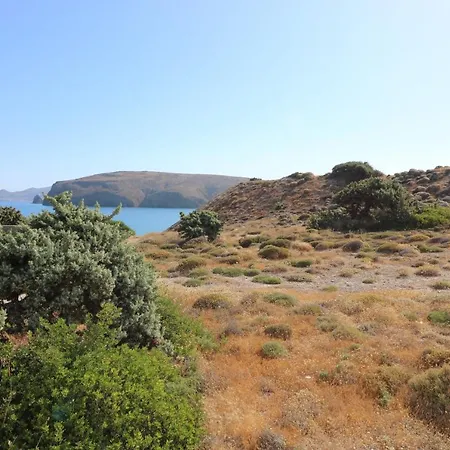 Avra Pahainas Pachaina