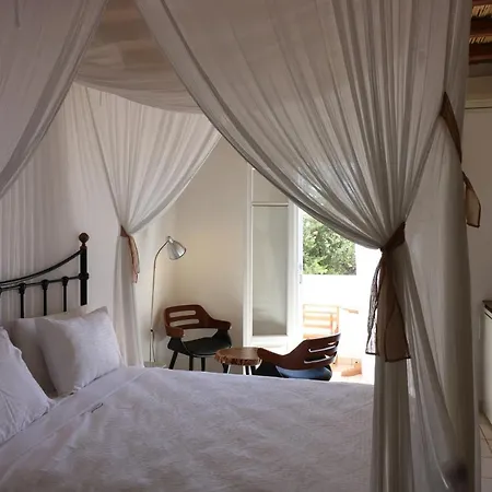 Avra Pahainas Pachaina