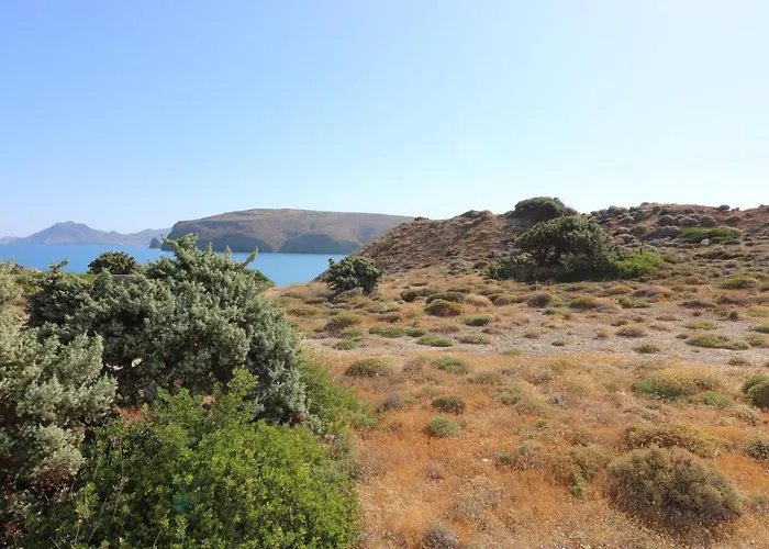 Avra Pahainas Pachaina