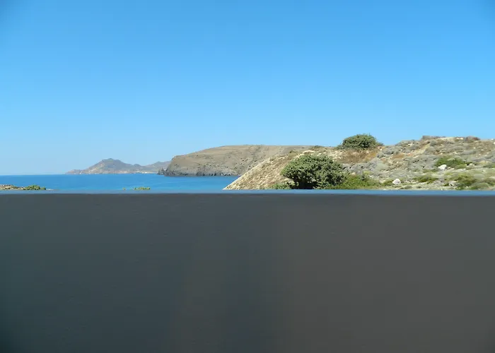 Avra Pahainas Pachaina